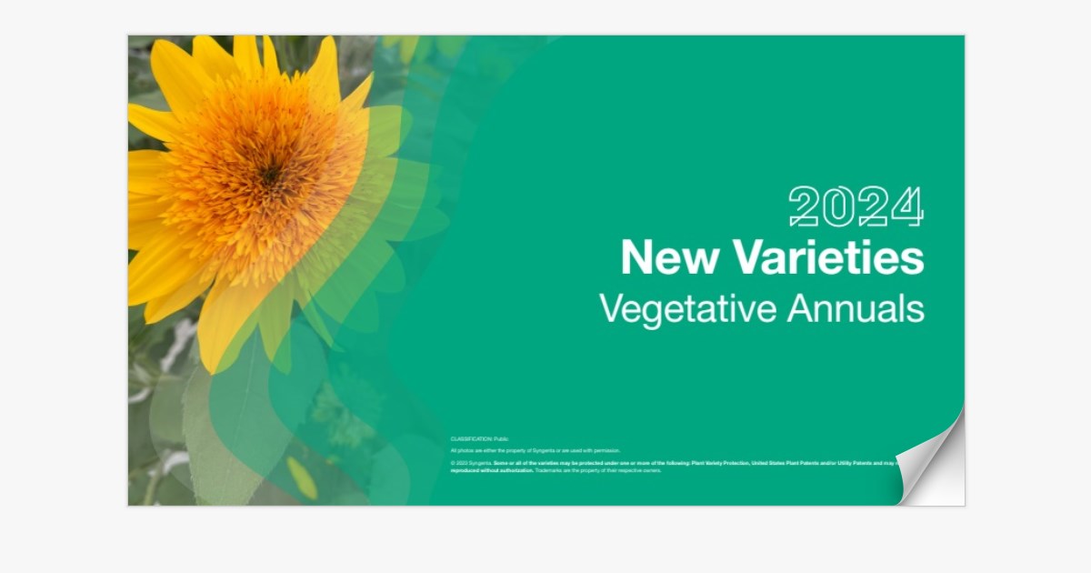 2024 Vegetative Annuals New Variety Presentation