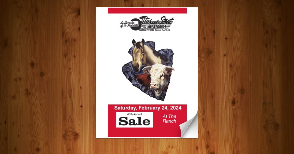 TS Ranch Herefords & Quarter Horses 60th Annual Production Sale [2/24/24]