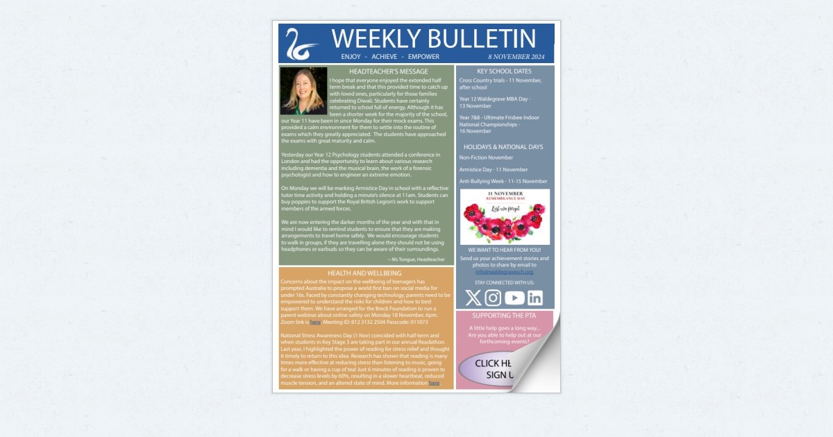 Y8 Bulletin 08 11 24