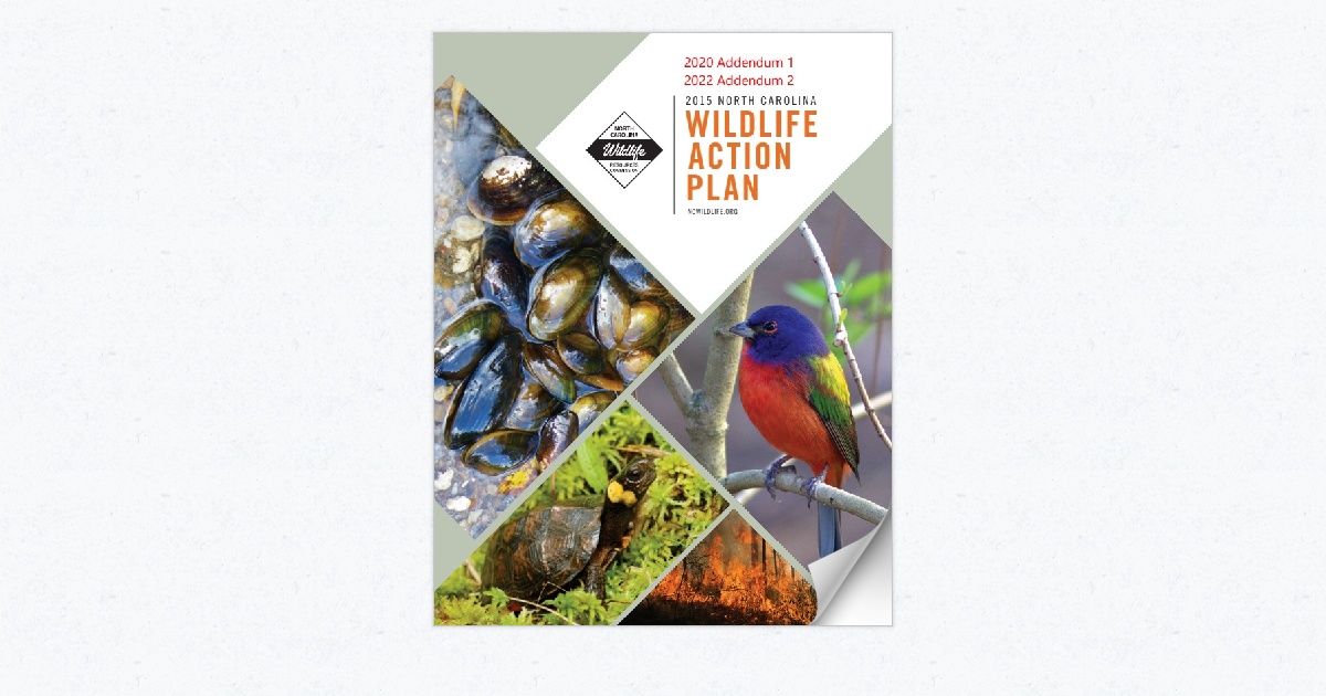 2015 Wildlife Action Plan Inc Addendums 1 (2020) + 2 (2022)