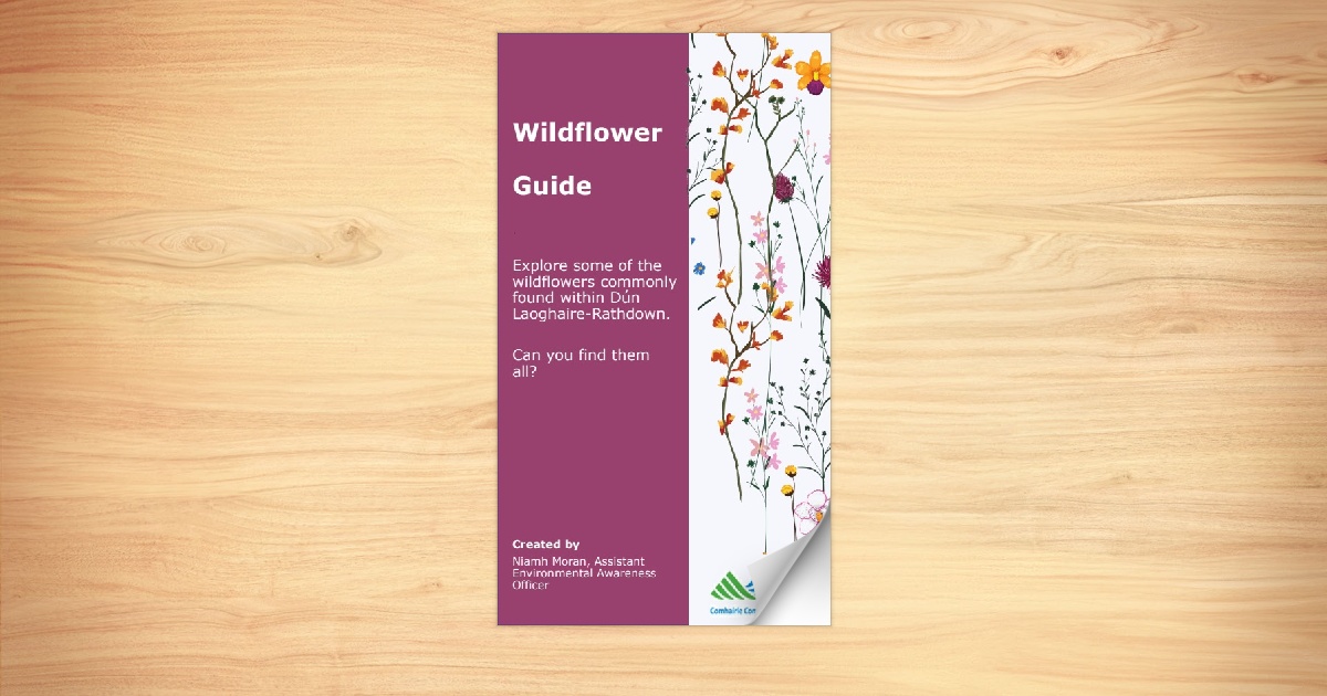 dlr Wildflower Guide