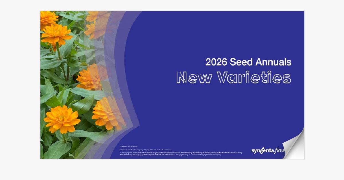 2026 Seed Annuals | New Variety Presentation | AMS - Page 4