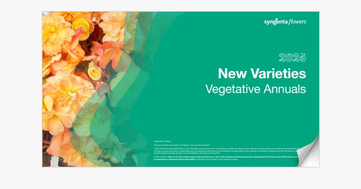2025-vegetative-annuals-ams-new-variety-presentation