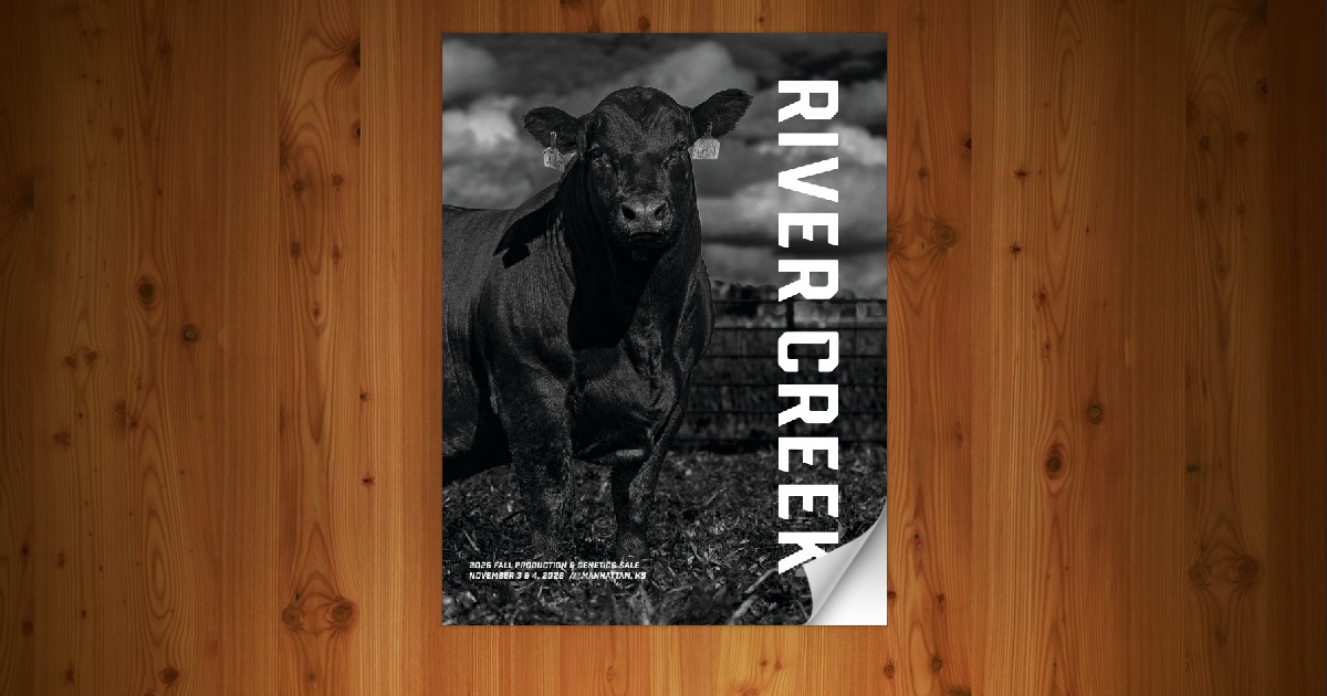 River Creek Farms - Fall Production Sale [11/4/26]