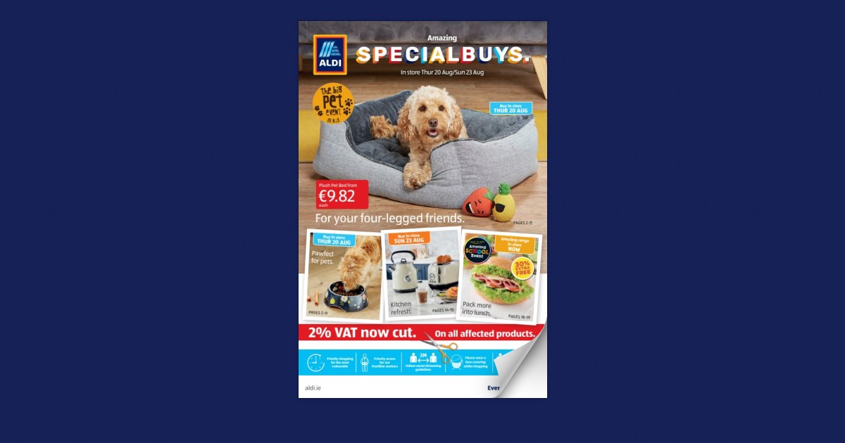 Dog best sale ramp aldi