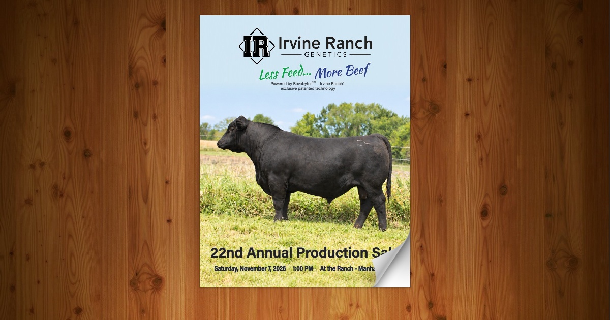 Irvine Ranch - Annual Production Sale [11/7/26] - Page 12-13