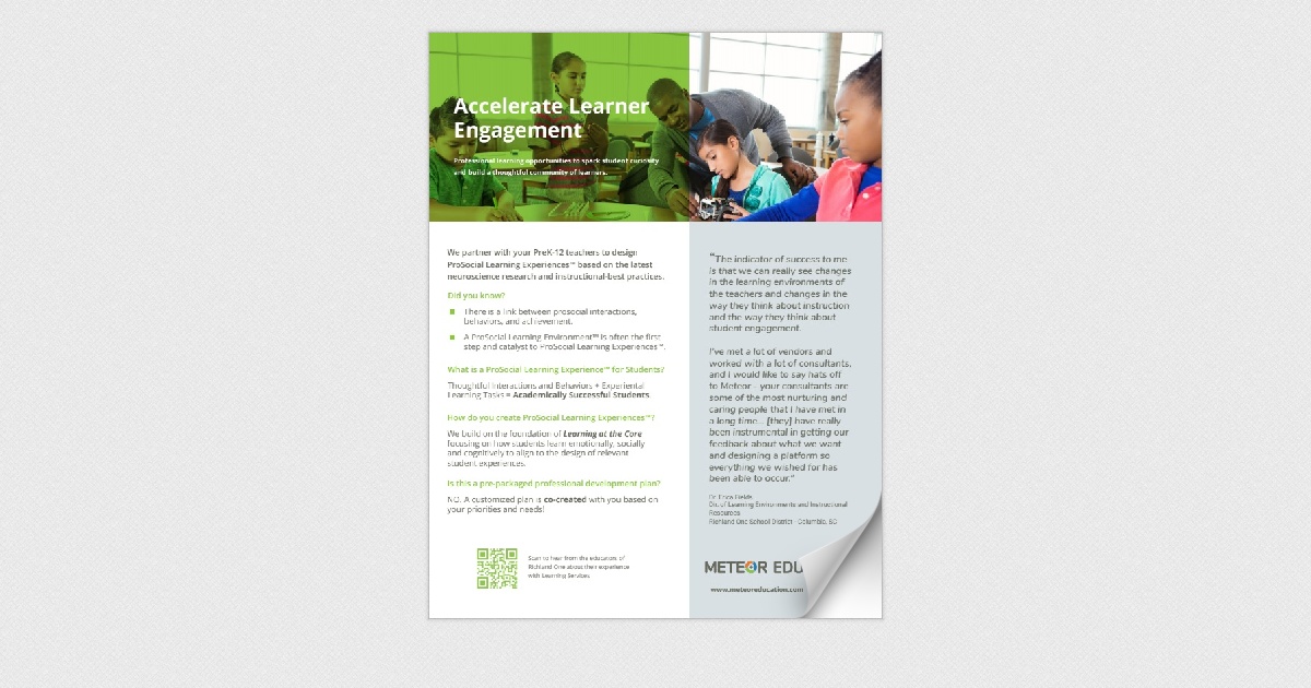 Learning Services by Meteor Education - Flier