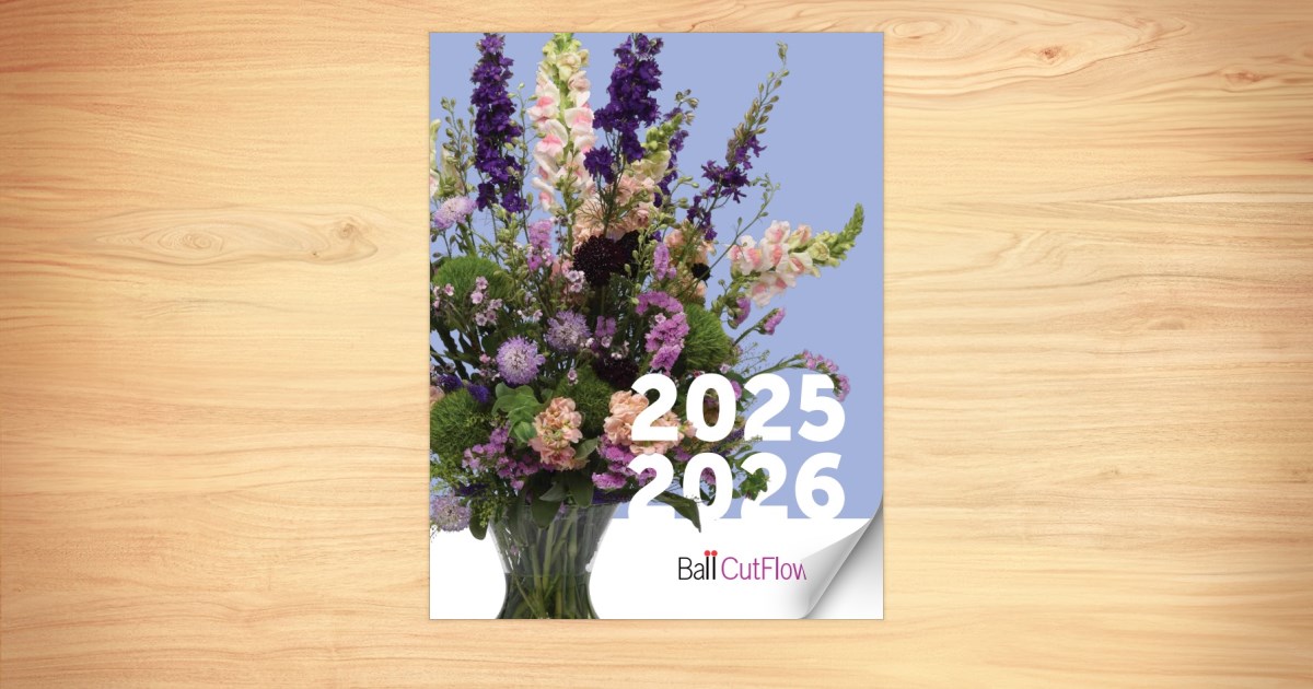 BALL BAG　/FLOWER Amazon.com: NUPTIO Flower Balls for Wedding Centrepieces