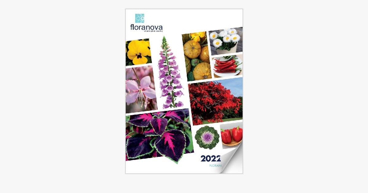 Floranova Catalogue 2022-23 | China