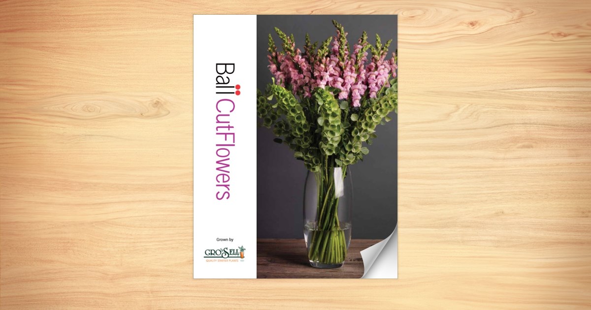 Ball Seed Cut Flowers Gro N Sell Catalog