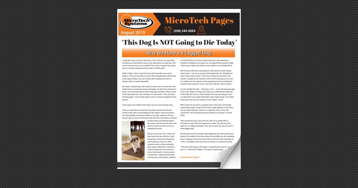 MicroTech Systems August 2019