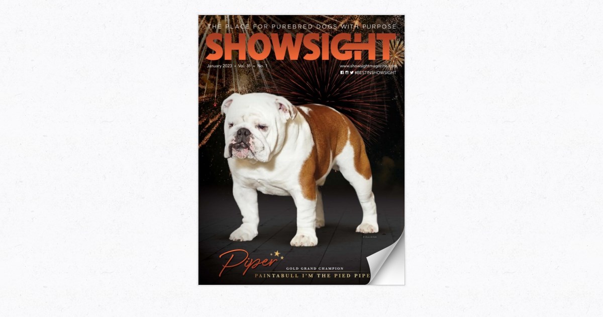 digital.showsightmagazine.com