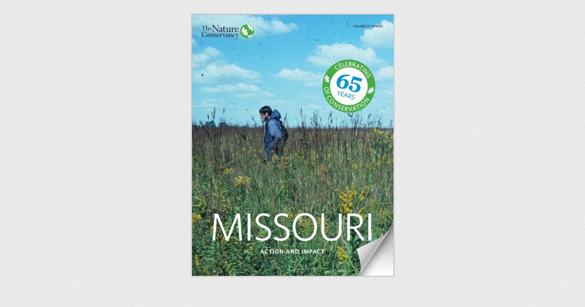 Missouri Action and Impact Report - Spring 2021