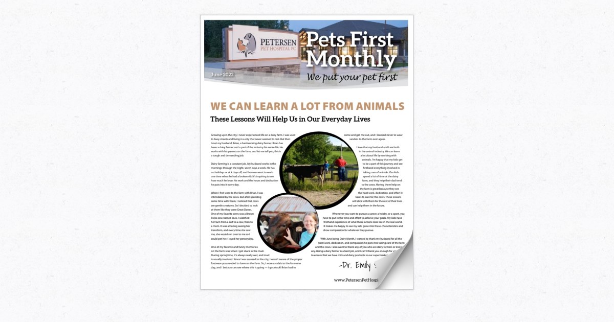Petersen Pet Hospital June 2022