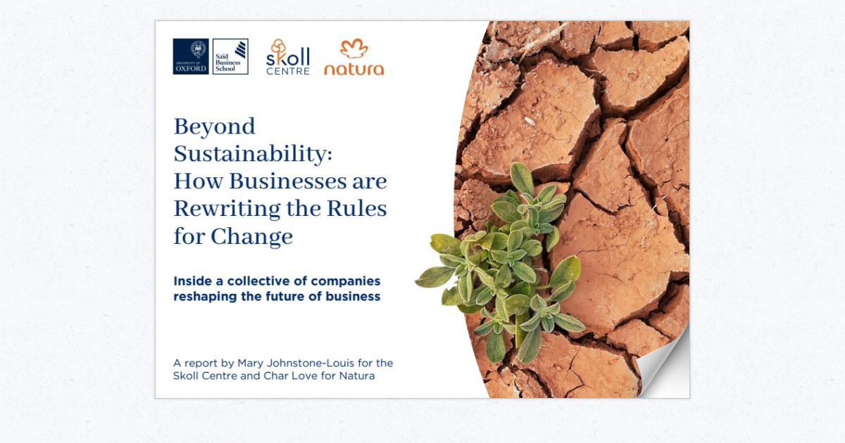 Beyond Sustainability Report Page 20