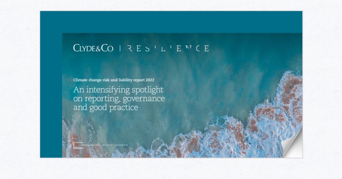 Climate Change Risk and Liability Report (November 2022)