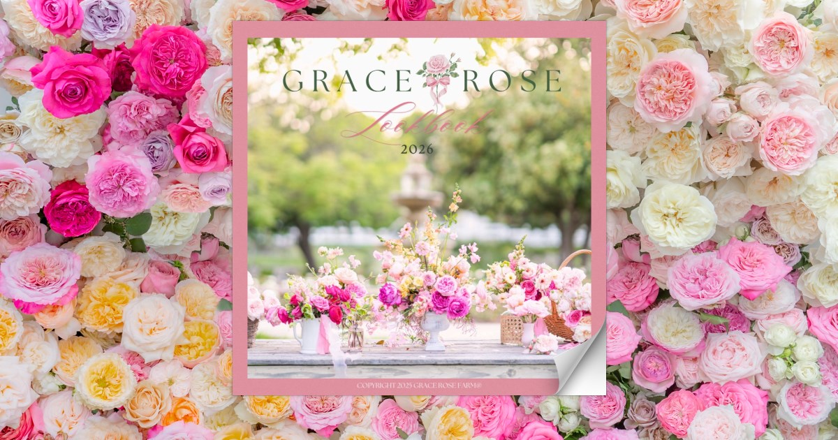バレエ type W grateful Grace rose sage stina stina / type Z zip / Grace rose sage