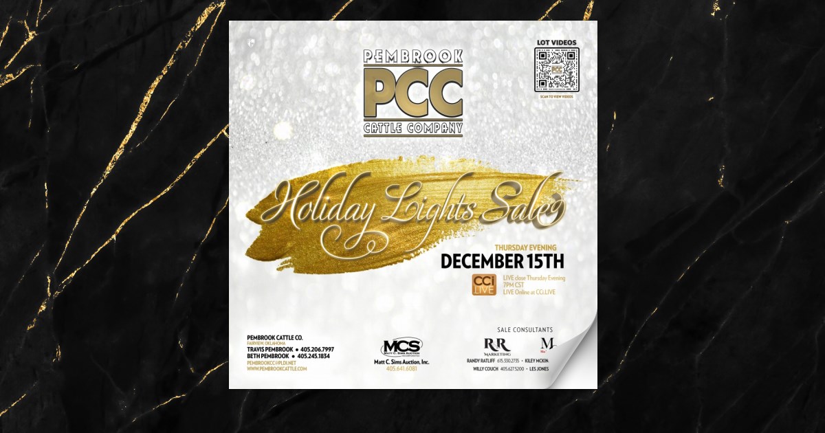 2022 PCC Holiday Lights Sale