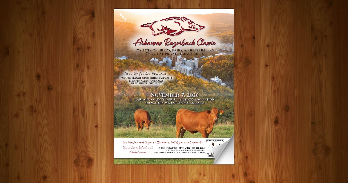 Arkansas Beefmaster Breeders - Arkansas Razorback Classic [11/7/26 ...