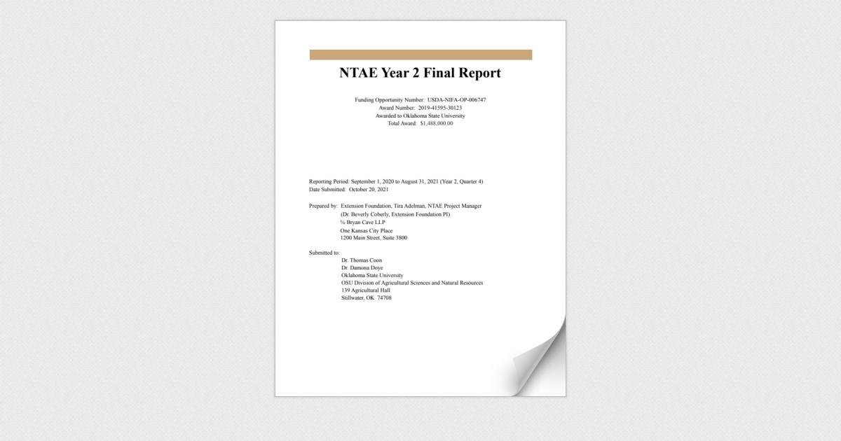 ntae-year-2-final-report-page-2