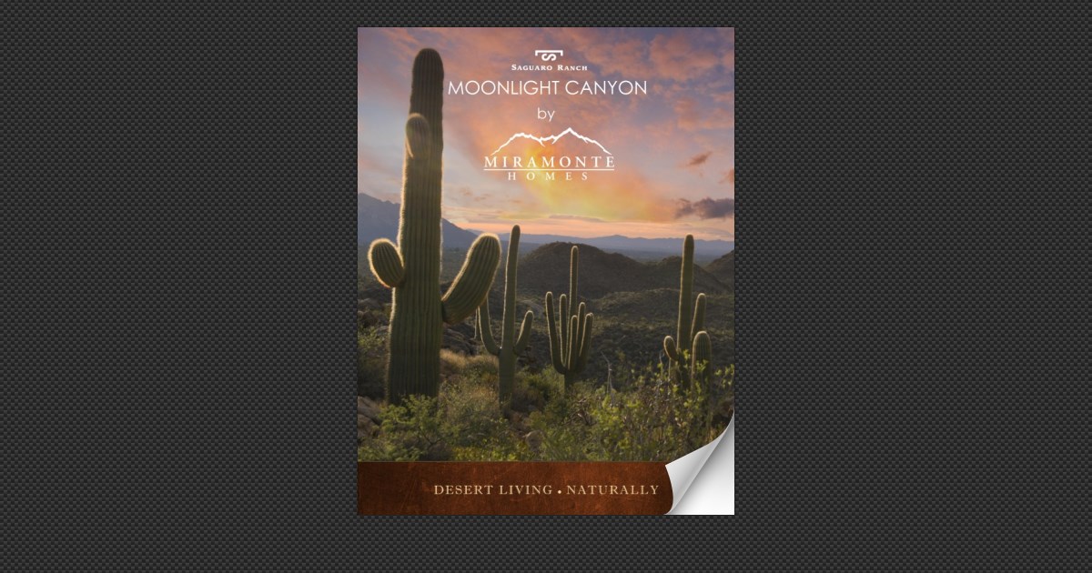 Moonlight Canyon At Saguaro Ranch