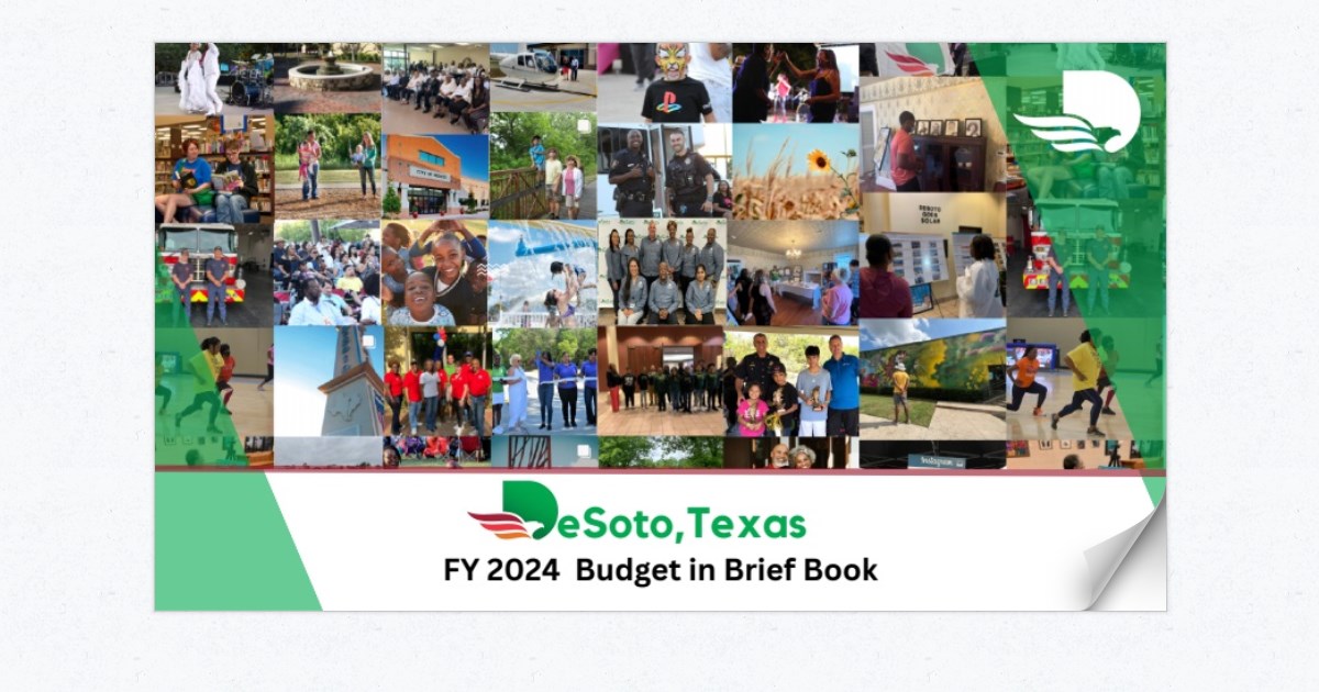 Copy of (FINAL) 2024 Budget Brief Finance