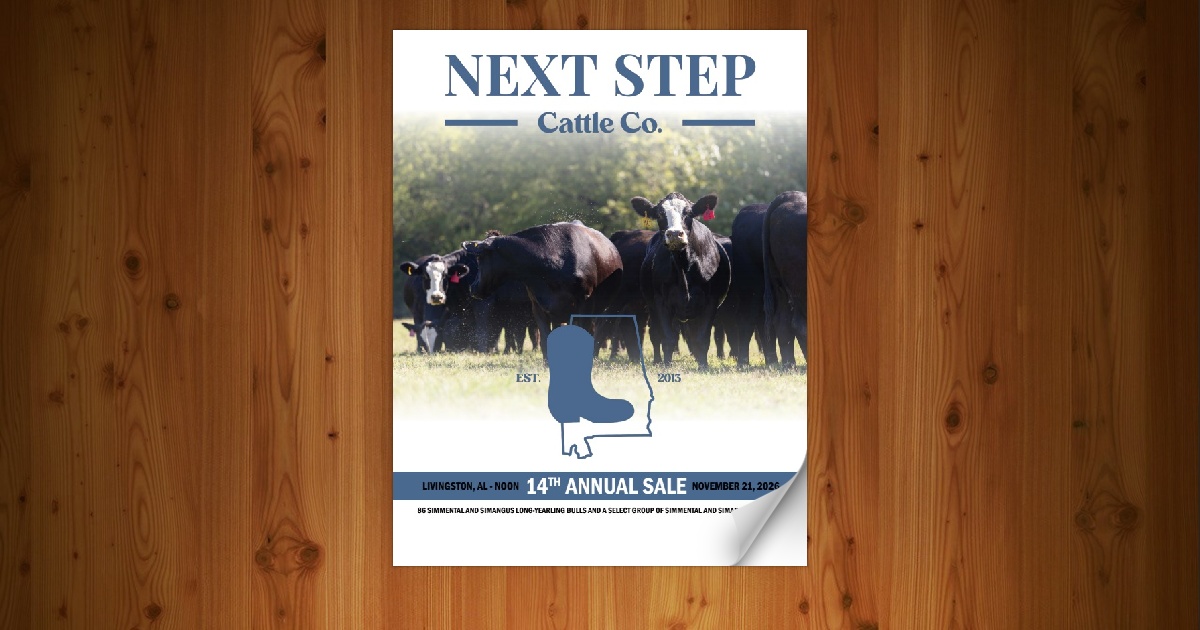 Next Step Cattle Company - 14th Annual 