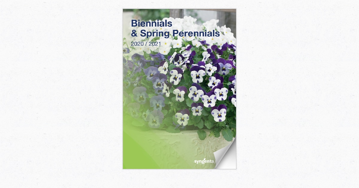 Biennials and Spring Perennials 2020-2021 | SC
