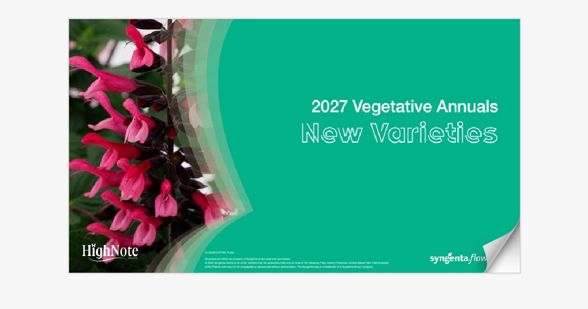 2027 Vegetative Annuals | NA | New Variety Presentation - Page 18