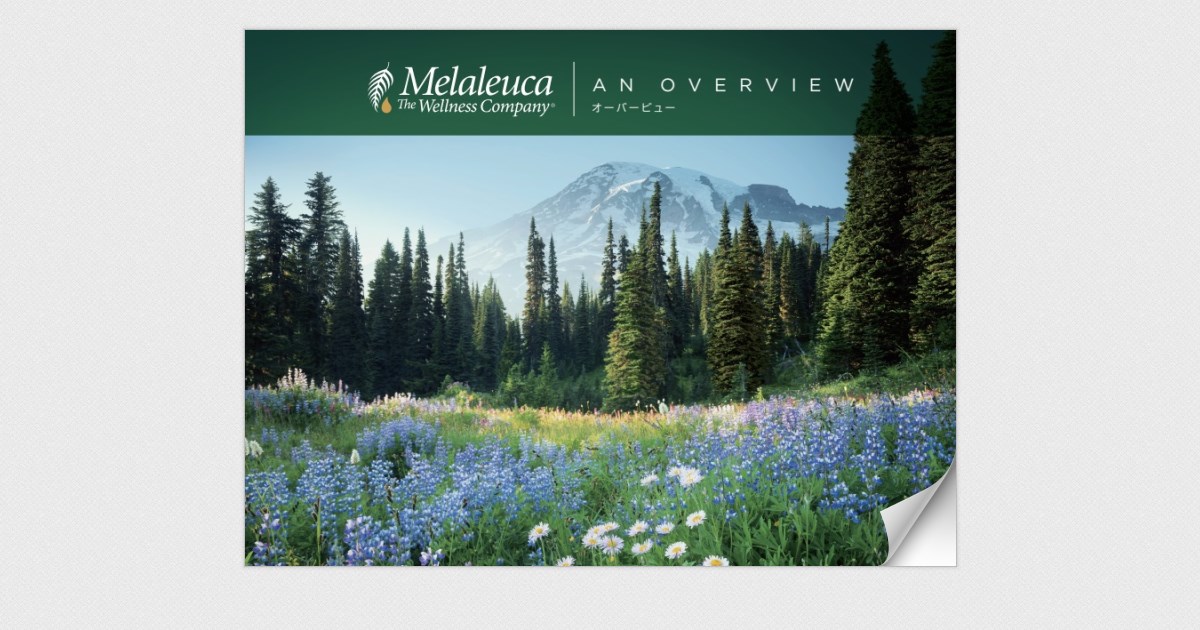 JP_OverView-20221101