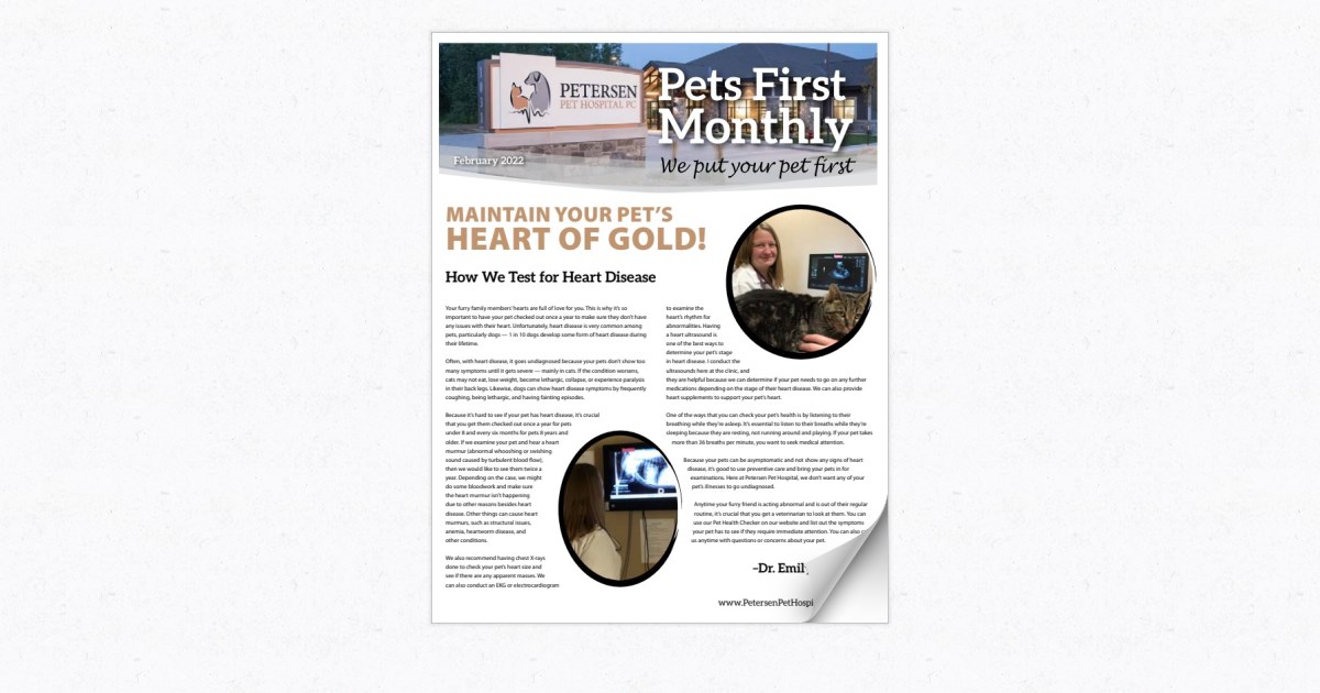 Petersen Pet Hospital - February 2022