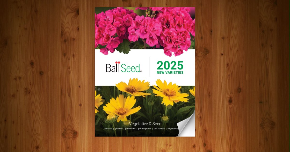 Ball Seed 2025 New Varieties