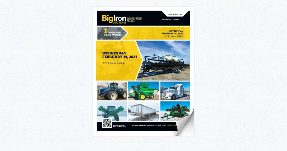 429425BIg_IronFeb14_Mailing