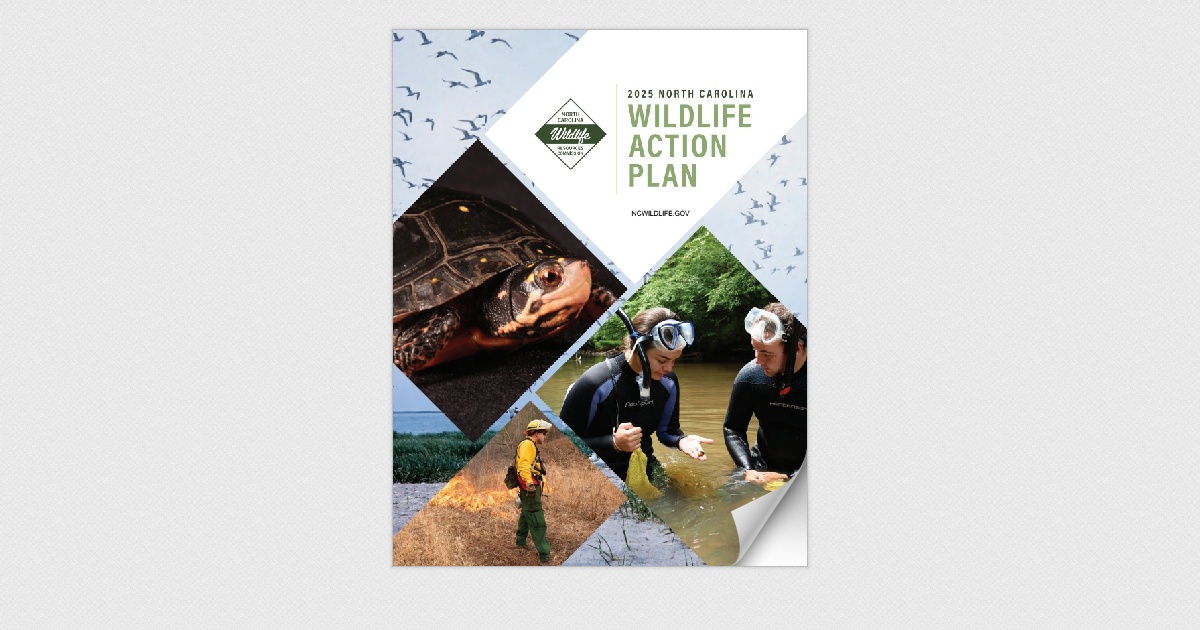 2025 NC Wildlife Action Plan