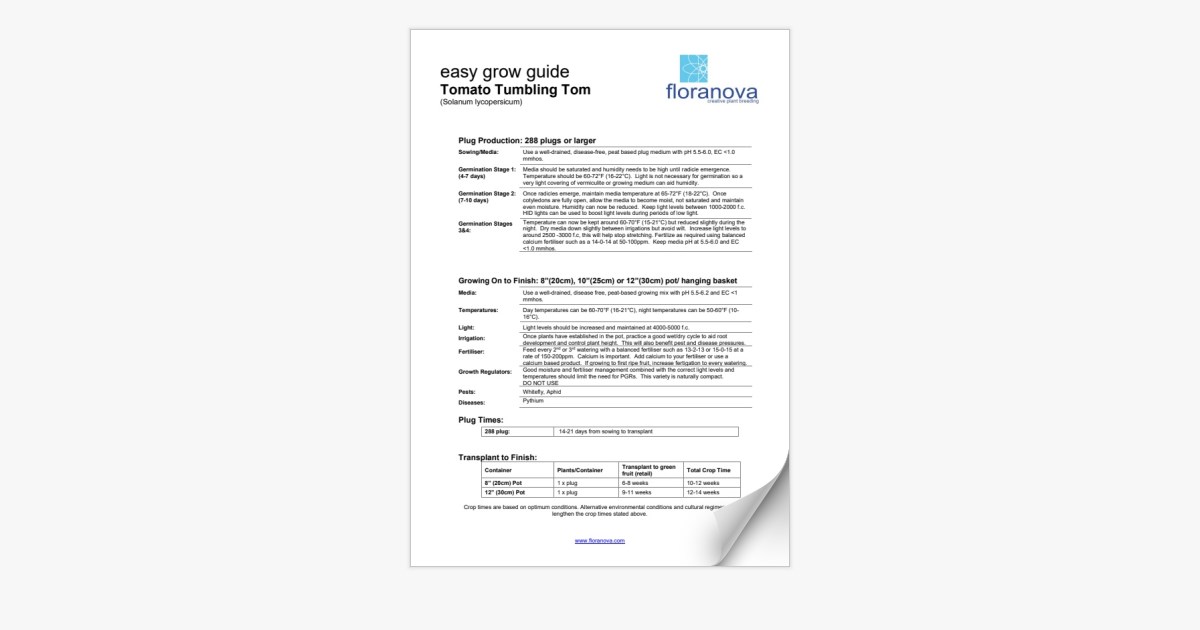 tomato-tumbling-tom-easy-grow-guide