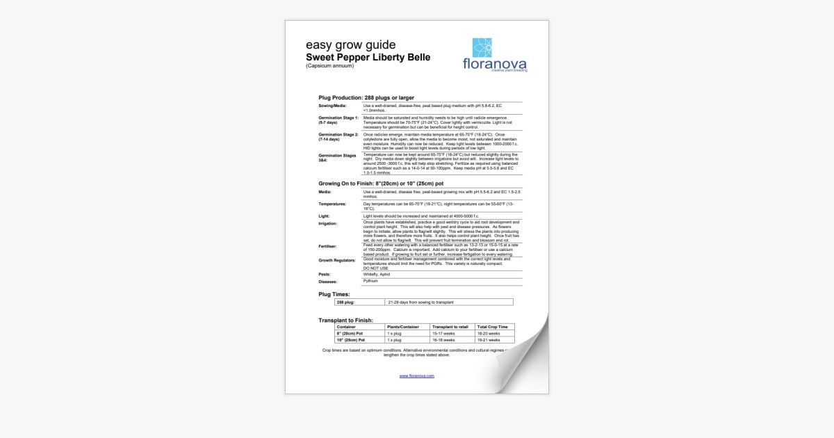 sweet-pepper-liberty-belle-easy-grow-guide