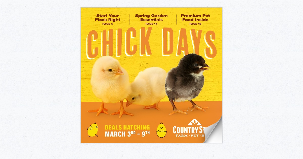 Chick Days 3/3 - 3/9