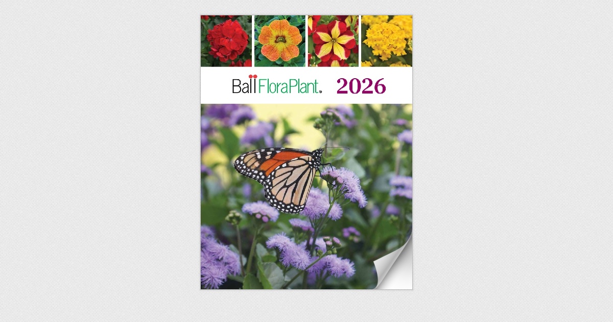 Ball FloraPlant 2026 Catalog