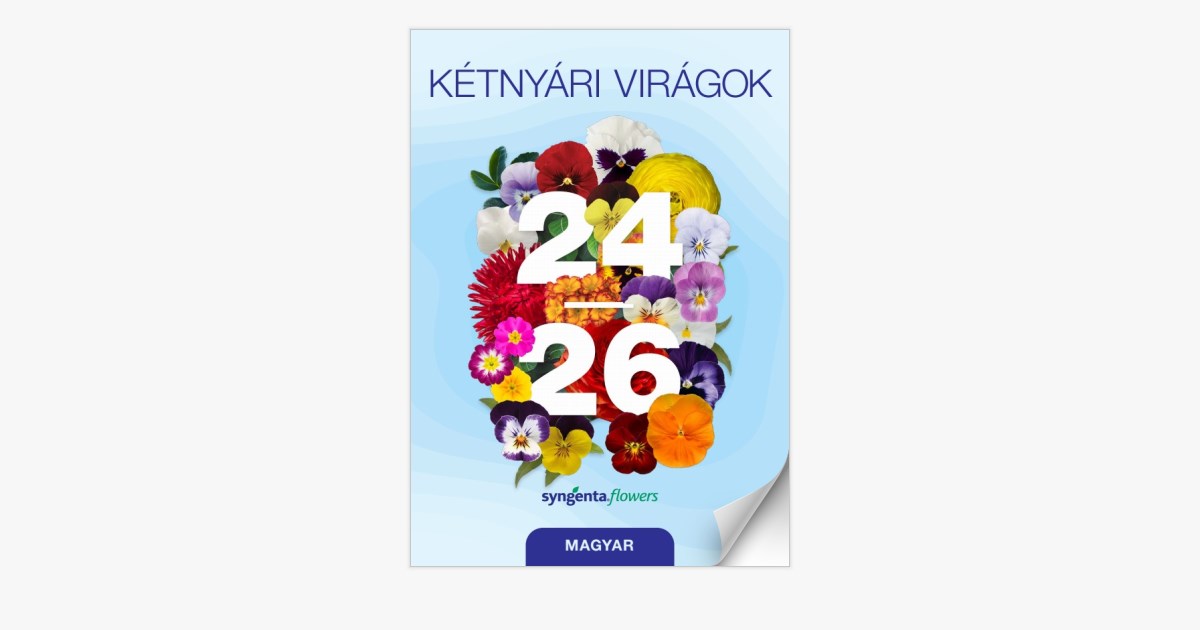 2024-2026 - KÉTNYÁRI VIRÁGOK - Page 62-63