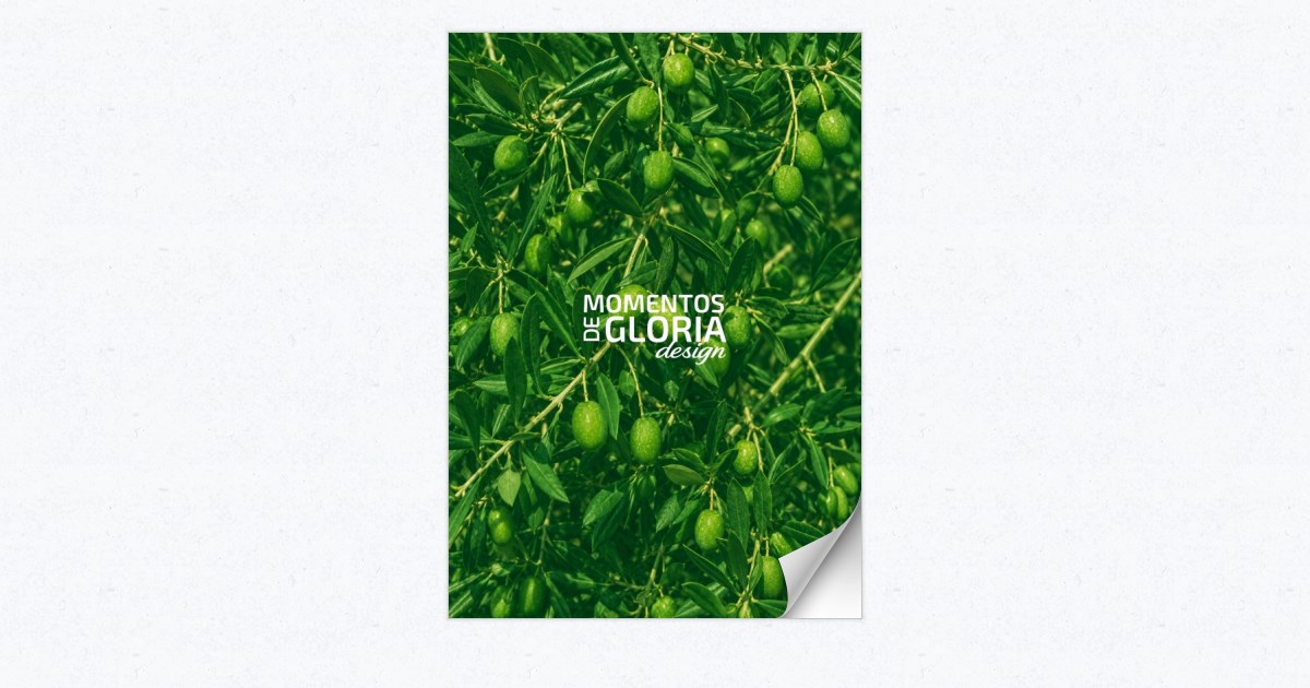 catalogo
